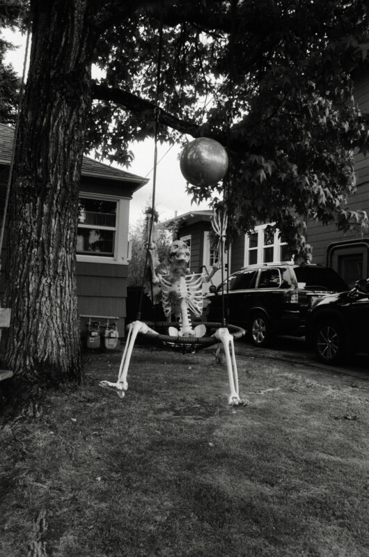 A plastic skeleton sits on a swing hanging from a tree in a yard, with a large ball above it. Houses and parked cars are visible in the background. The image is in black and white.