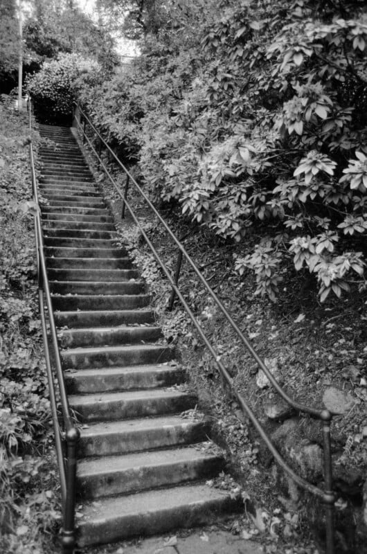 Black and white photo of a long outdoor stone staircase with metal railings on both sides, surrounded by dense leafy bushes and trees. The stairs lead upward, disappearing out of view at the top.