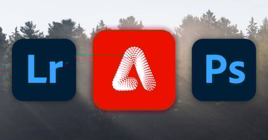 Icons for Adobe Lightroom, Photoshop, and Firefly displayed against a backdrop of trees with sunlight filtering through.