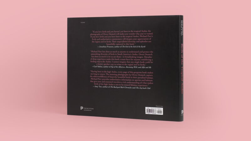 The back cover of a hardcover book with black background and pink text, featuring a summary and praise for the book. The spine and publisher's logo, Princeton, are visible. The book is set against a solid pink backdrop.
