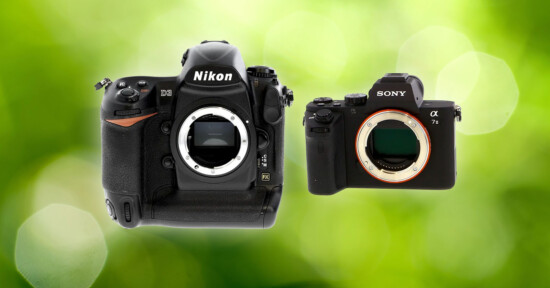 Two digital cameras, a Nikon DSLR body on the left and a Sony mirrorless camera body on the right, are displayed side by side against a blurred green background.