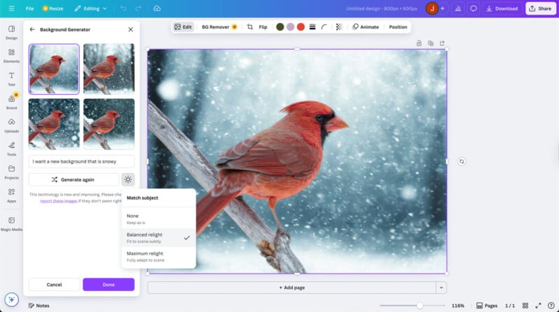 A digital editing interface displays a photo of a red cardinal perched on a snowy branch, with customization tools and background removal options on the screen. Snow falls softly against a blurred wintry background.