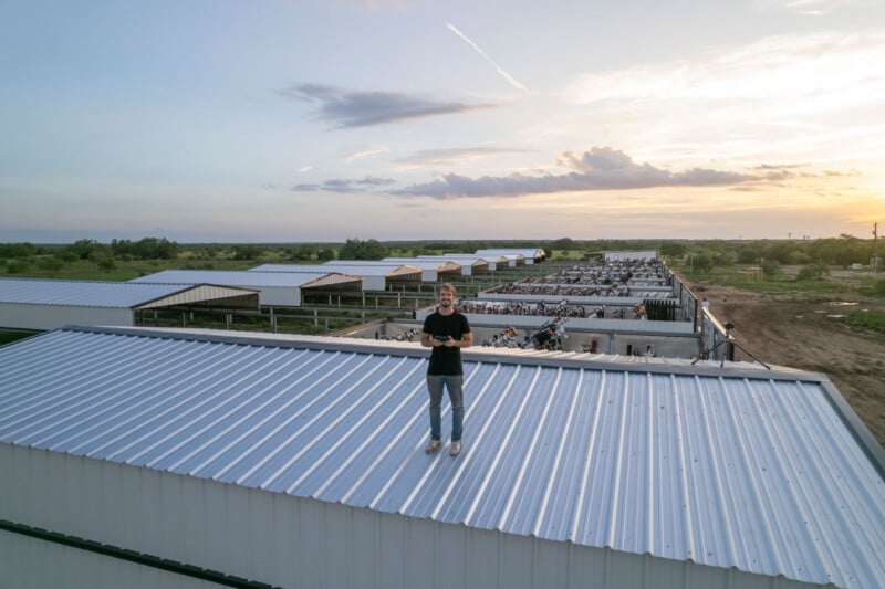 A person stands on the metal roof of a large livestock facility at sunset, with cattle pens and multiple barns visible in the background under a partly cloudy sky.