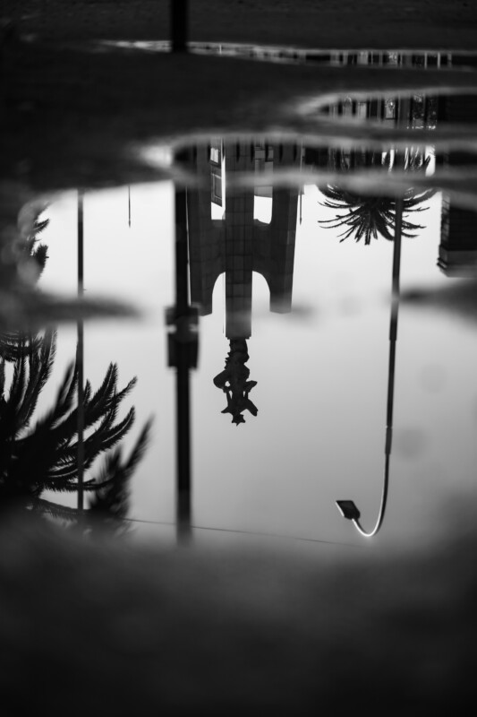 Black and white photo showing a statue reflected in a puddle, with silhouettes of palm trees and a streetlamp also mirrored in the water. The scene is slightly blurred, giving it a dreamlike quality.