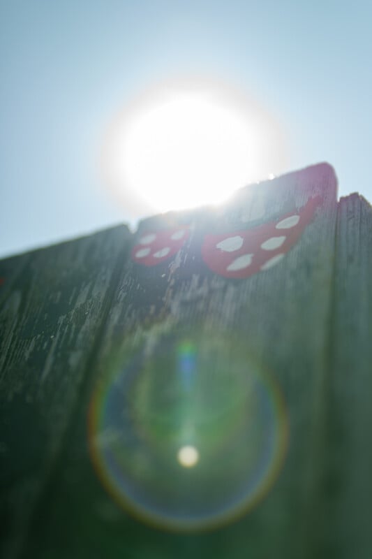 Sunlight shines over the top of a weathered wooden fence, creating lens flare. Two red shapes with white spots, resembling stylized mushrooms, are painted on the fence.