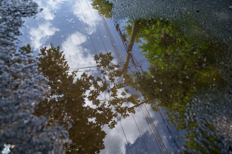 Reflection of trees, electric poles, and cloudy sky in a puddle on an asphalt surface.