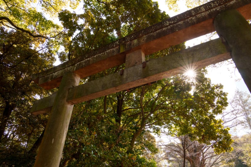 A stone torii gate stands amidst lush green trees under a sunlit sky. Sunlight peeks through the foliage, creating a gentle flare. The scene conveys a sense of serenity and nature's harmony with cultural structures.