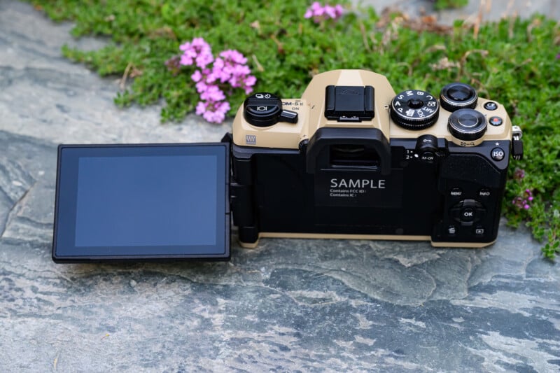 A digital camera with a flip-out LCD screen sits on a stone surface with green plants and small purple flowers in the background. The camera is beige and black with visible control dials and buttons.