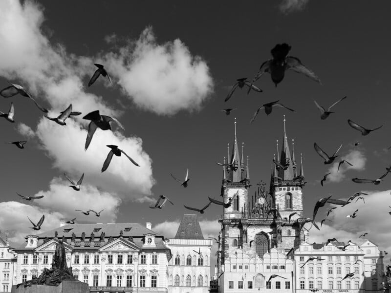 Black and white photo of a flock of birds flying over historic architecture. The foreground features statues and ornate buildings. A prominent Gothic-style church with tall spires is visible under a partly cloudy sky.