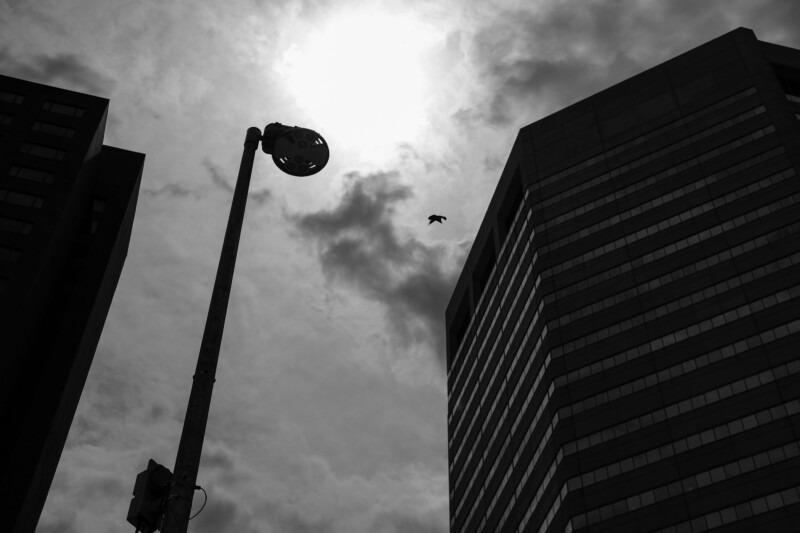 A black and white photo of tall buildings and a streetlight silhouetted against a cloudy sky, with the sun partially hidden and a bird flying in the background.