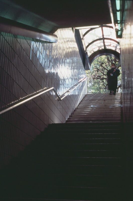 A tiled staircase in a subway or underpass leads upward toward bright daylight, with a person visible at the top near an arched glass canopy. Trees are seen through the opening above.