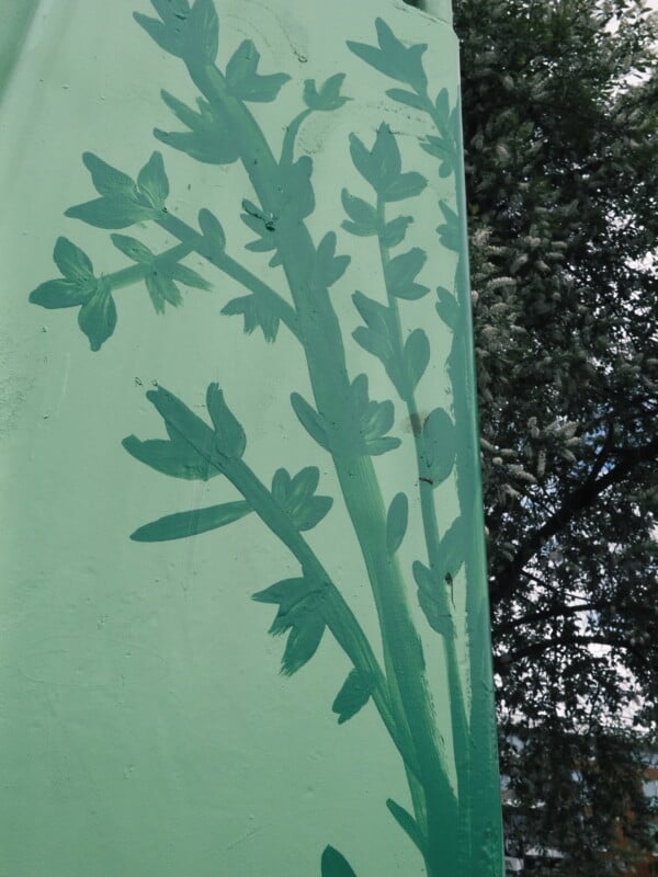 A wall painted light green with a darker green silhouette of leafy branches. In the background, part of a tree and a cloudy sky are visible.