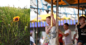 On the left, a single yellow and red flower grows in a sunlit grassy field. On the right, children smile and ride a merry-go-round at an amusement park, with blurred lights and people in the background.