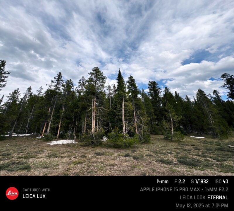 A dense forest of tall pine trees stands under a dramatic cloudy sky, with patches of snow and dry grass in the foreground. Photo details and Leica Lux branding appear at the bottom of the image.