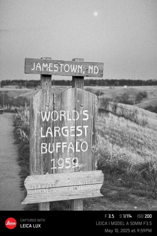 A weathered wooden sign reads "JAMESTOWN, ND WORLD'S LARGEST BUFFALO 1959 DAKOTA THUNDER," standing beside a rural road with fields in the background under a cloudy sky.