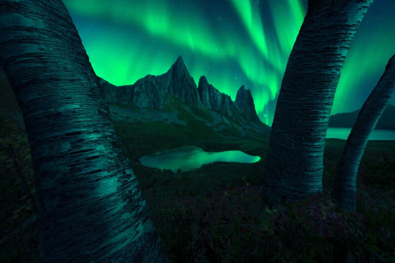 Green northern lights dance in the night sky above rugged mountain peaks and a calm lake, framed by the trunks of birch trees in the foreground.
