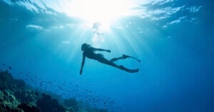 A person wearing fins swims underwater above a coral reef, surrounded by small fish, with sunlight streaming down through the clear blue water.