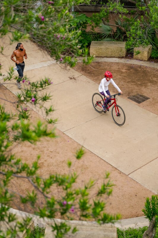 A person wearing a red helmet rides a bicycle on a paved path while another person jogs shirtless nearby; green branches with purple flowers frame the scene from above.