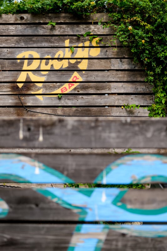 A wooden fence with the words "Rocky's Bar" painted in yellow and red, partially covered by green vines, and blue graffiti on a lower plank in the foreground.