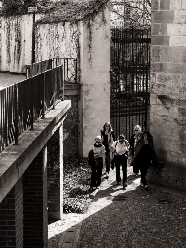 A group of five people walk together along a cobblestone path between stone walls, with sunlight casting shadows. Ivy grows on the wall above, and an iron gate is visible in the background. The image is in black and white.