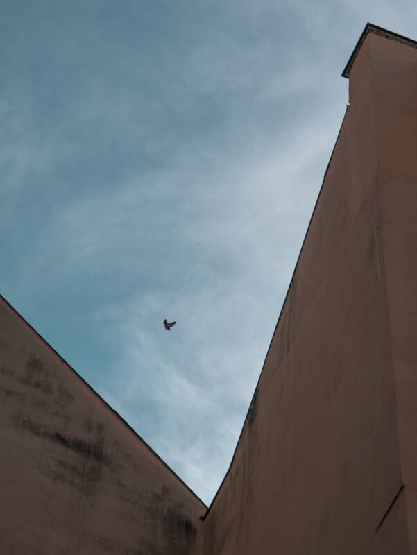 A lone bird flies across a blue sky framed by the sharp, angular edges of two beige buildings, creating a geometric composition.