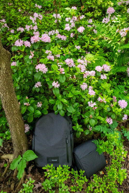 A gray backpack and small bag rest on the ground beside a tree, partially hidden by lush green foliage and blooming pink flowers in a garden or forest setting.