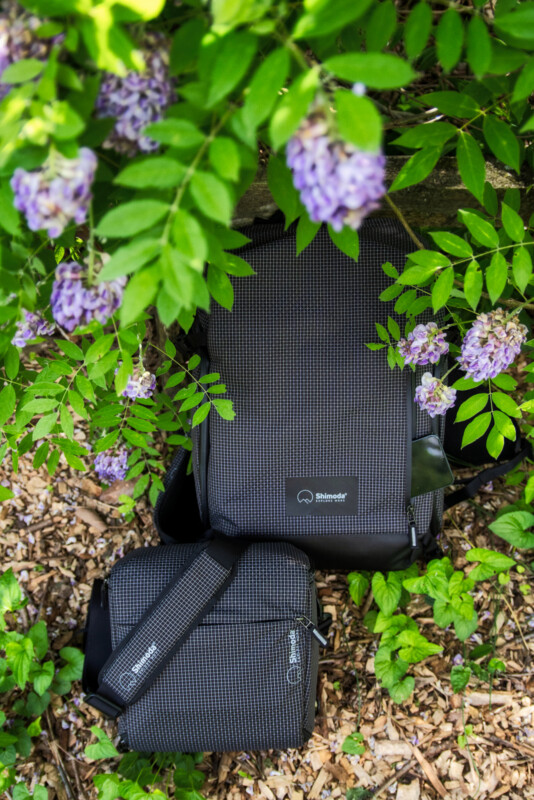 Two gray checked bags, one larger and one smaller, are placed on the ground among green leaves and purple flowers, partially shaded by foliage above.