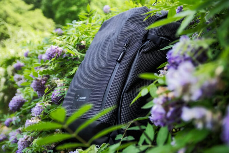 A black checkered backpack partially hidden among green leaves and clusters of purple flowers, with sunlight illuminating the foliage in the background.