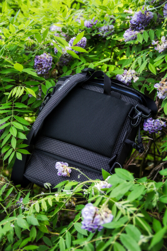 A black backpack sits among green leaves and clusters of purple flowers, blending into the natural surroundings. The mesh back and adjustable straps of the backpack are visible.