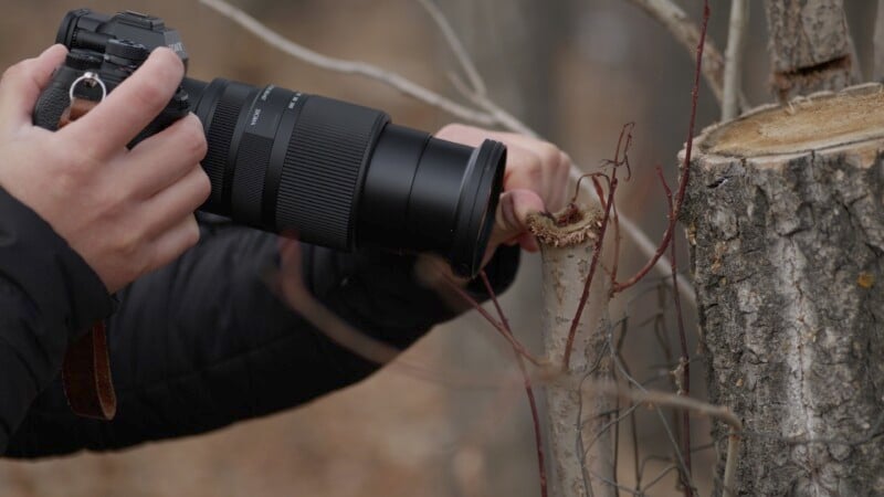 A person holding a camera with a large lens, closely photographing the cut end of a tree branch in a forest setting. The background is blurred, emphasizing the focus on the camera and branch.