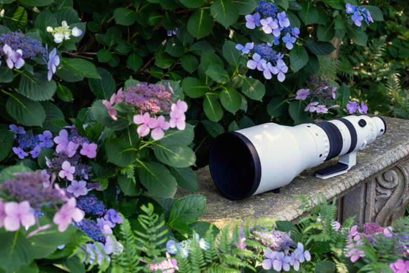 A large white telephoto camera lens rests on a stone ledge surrounded by green leaves and clusters of pink, purple, and blue hydrangea flowers.