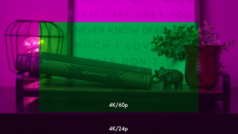 A decorative shelf holds a green book, a small elephant figurine, a plant, and a lamp. A blurred quote is in the background. Green and magenta overlays highlight “4K/60p” and “4K/24p” screen areas on the image.
