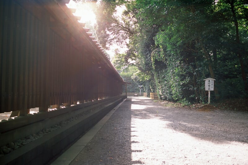 Sunlight filters through trees onto a gravel path beside a traditional wooden fence, leading into a serene forested area with a signpost in Japanese.