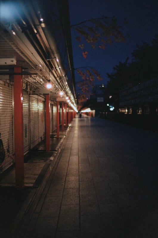 A dimly lit street lined with closed shopfronts and red pillars at night, with a few lights illuminating the walkway and autumn leaves hanging above.