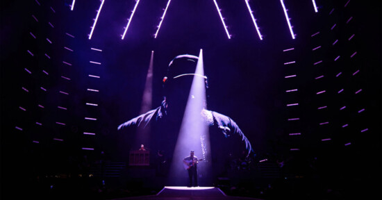 David Bergman concert photography